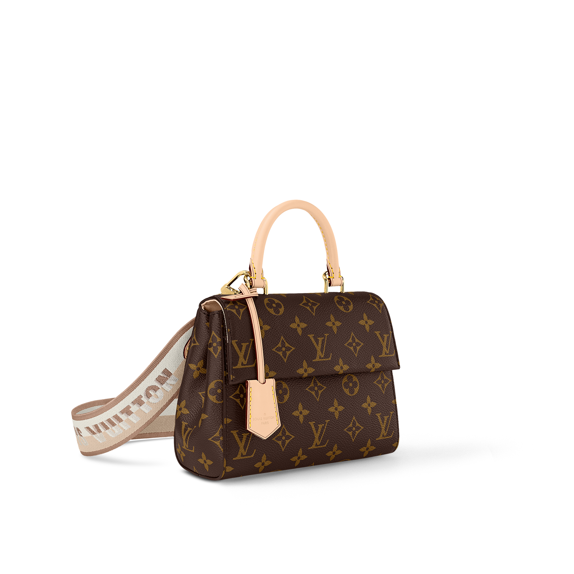 Lv monogram 2025 small bag